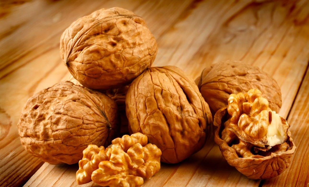 coltivazione noci da frutto