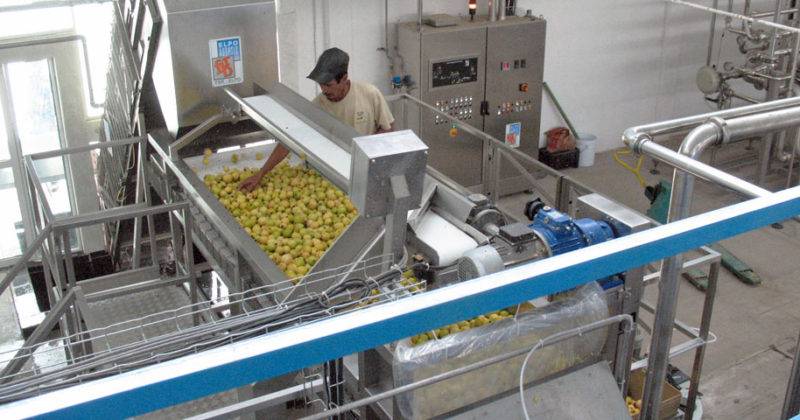 frutta da industria