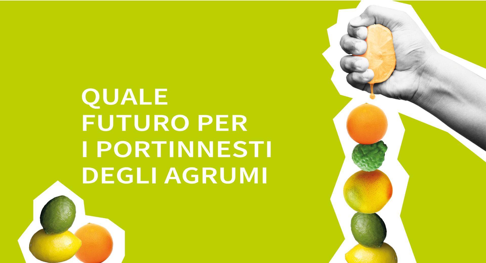 online ultimo numero fruit journal agrumi clima novità frutticoltura