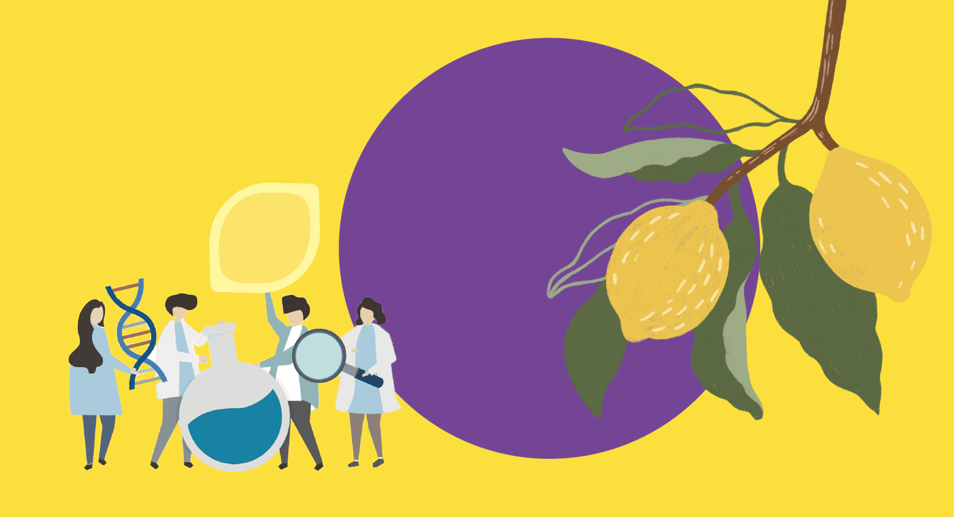 femminello siracusano sequenziato genoma dna