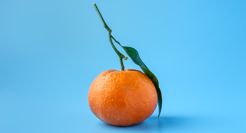 clementine perrina innovazione varietale
