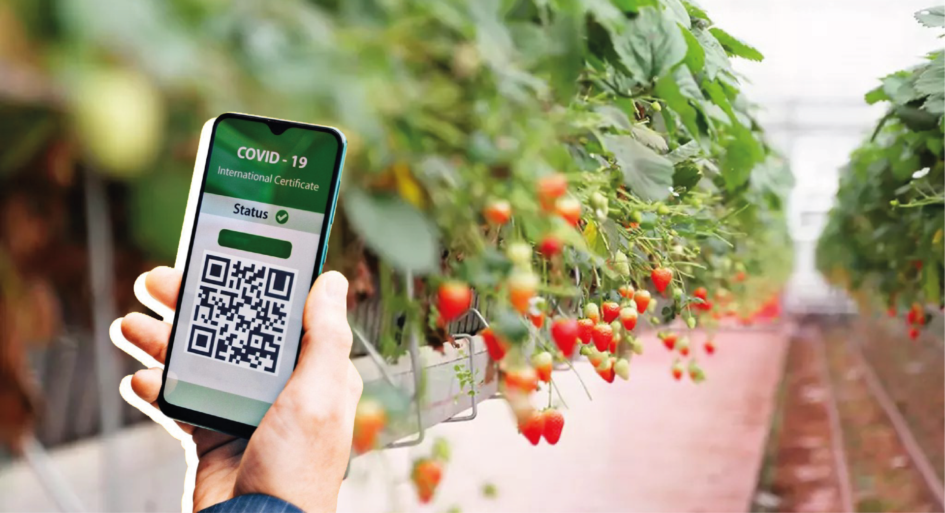 obbligo vaccinale agricoltura pandemia covid