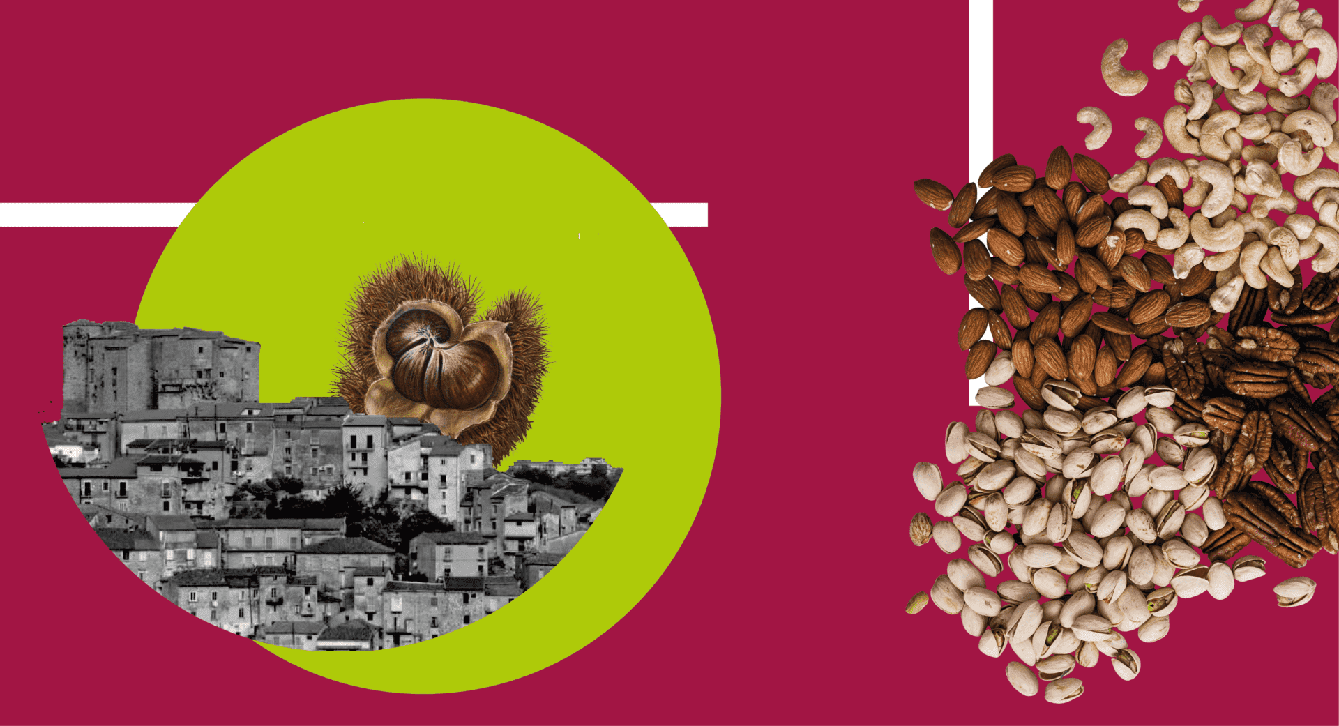 frutta in guscio campania consorzio di tutela marrone di roccadaspida