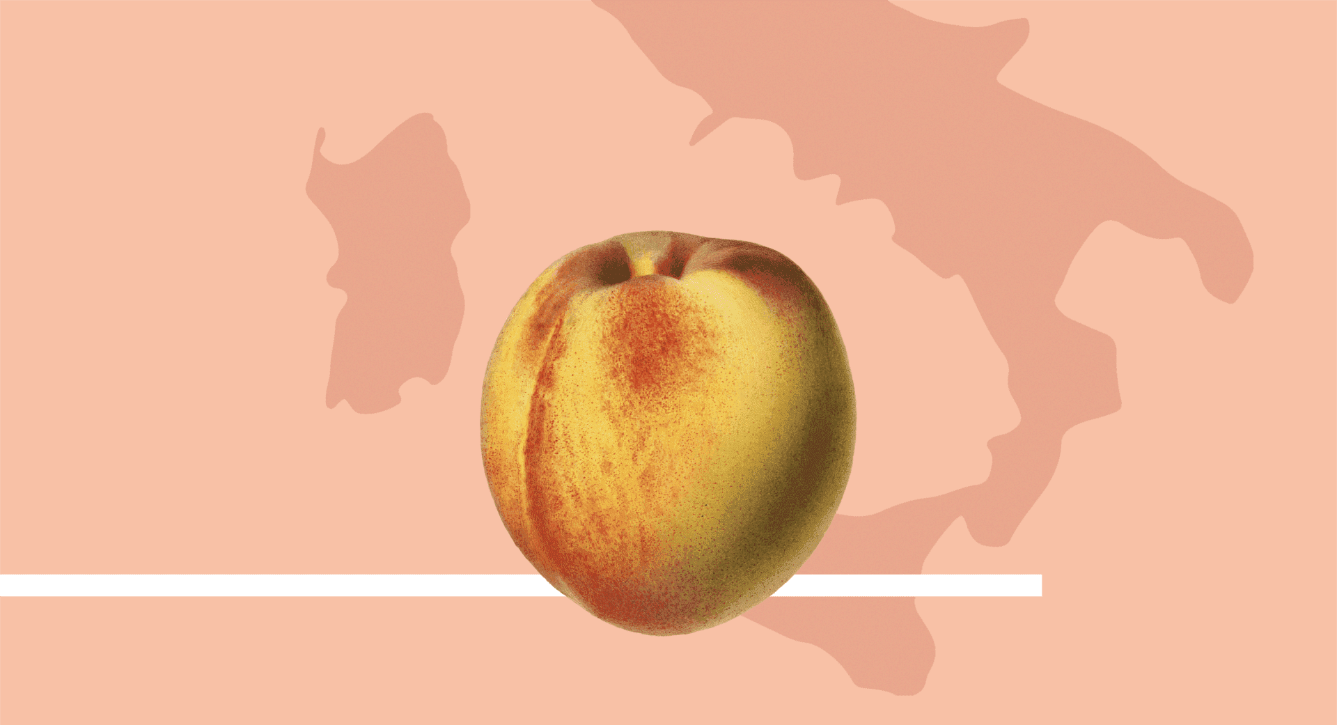 peschicoltura sud italia prospettive mercato tendenze baby food