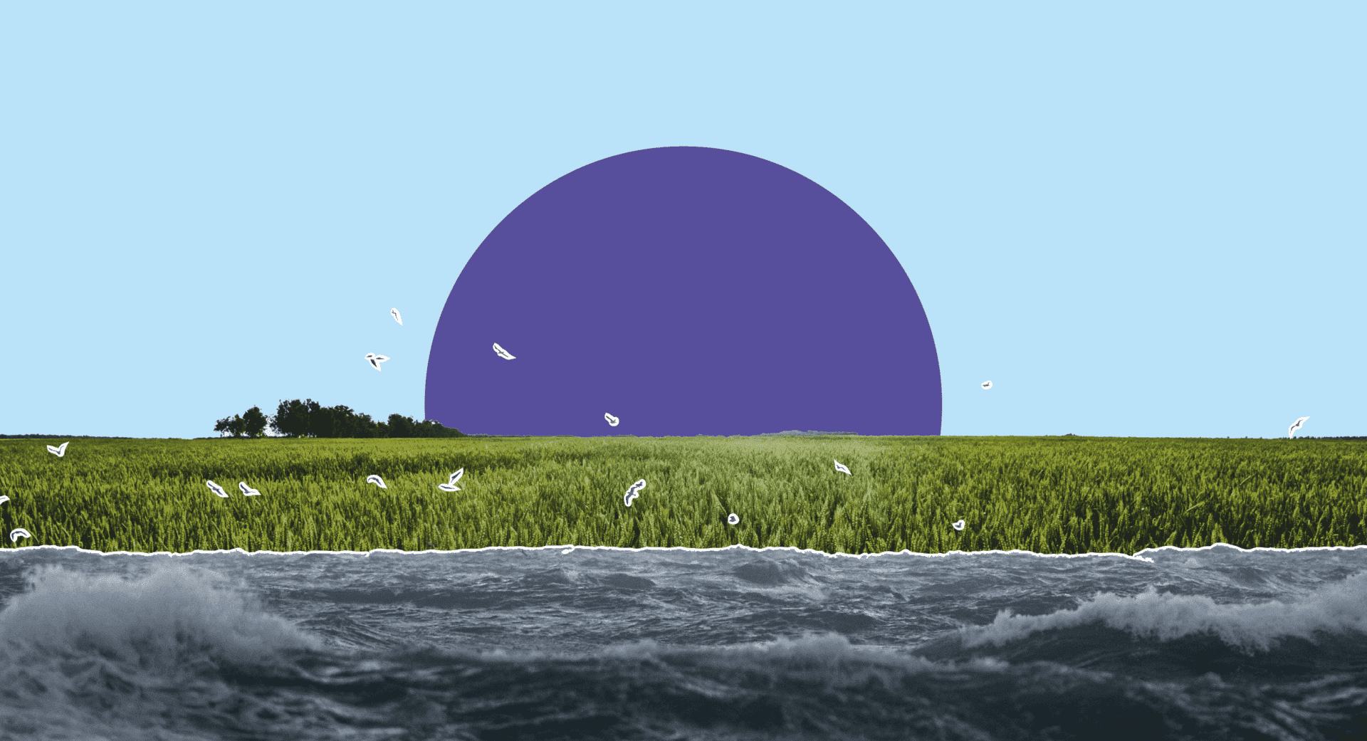 cambiamenti climatici e agricoltura seminario basilicata agronomi università