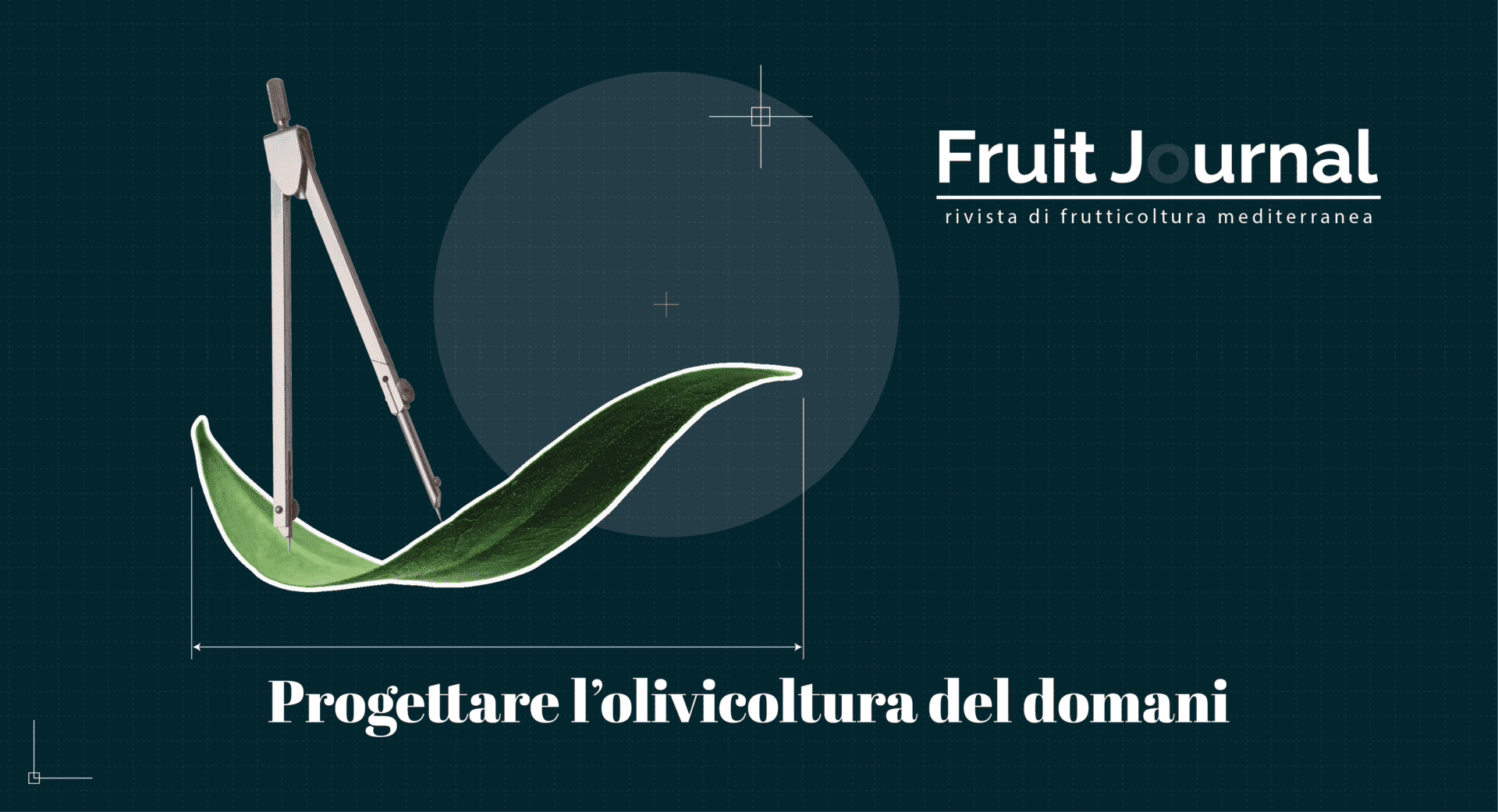 secondo numero fruit journal olivcoltura