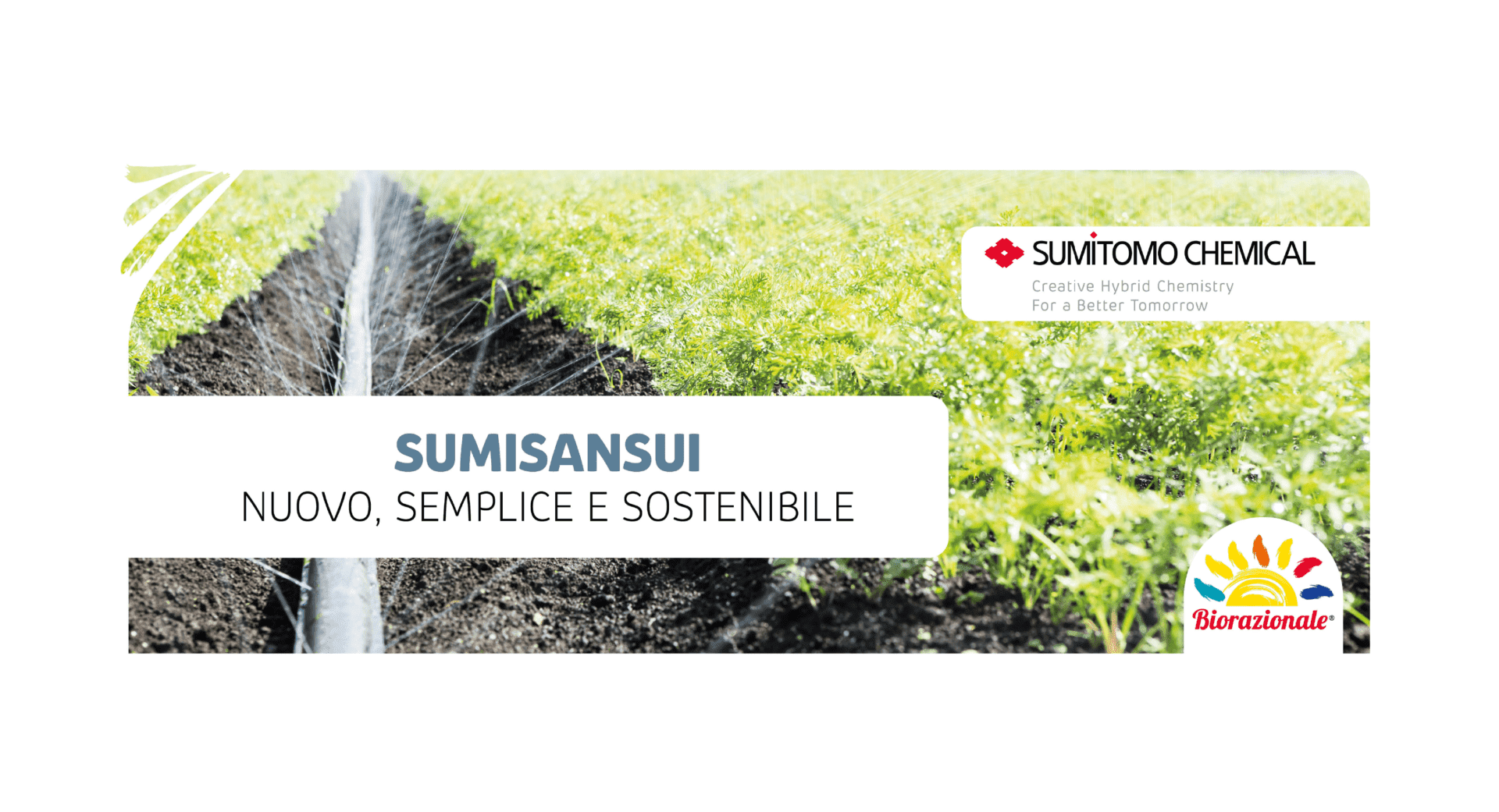 Sumisansui® irrigazione sumitomo baby leaf insalate carote bulbose orticole