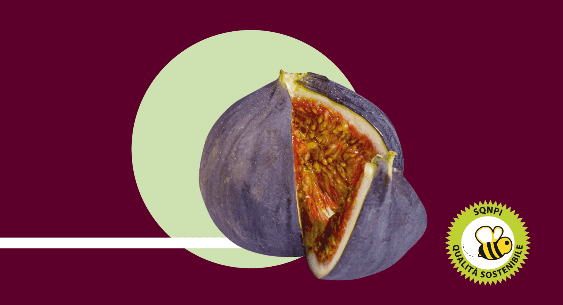 disciplinare produzione integrata 2022 regione puglia