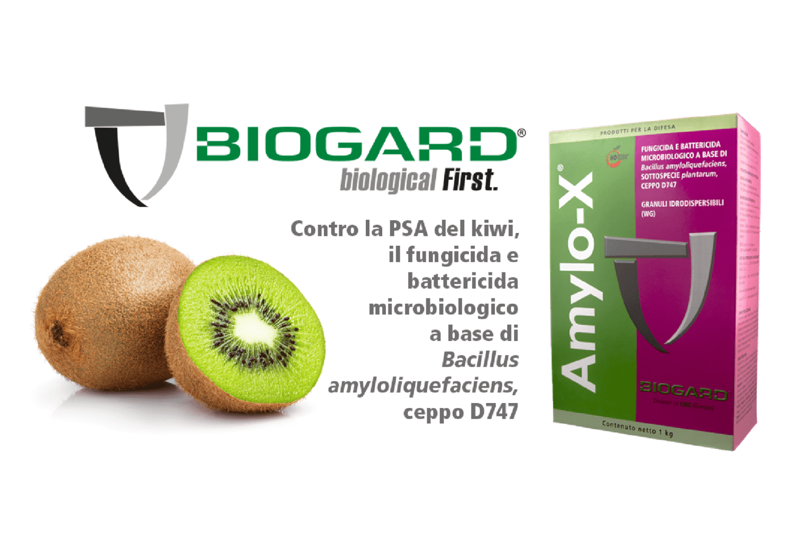 Amylo-X protezione kiwi psa biogard