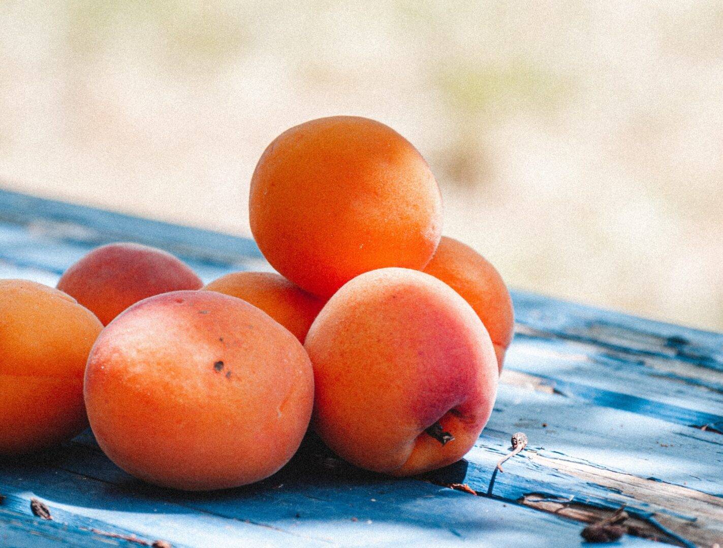 albicocche produzione italia 2022 cso italy volumi gelate