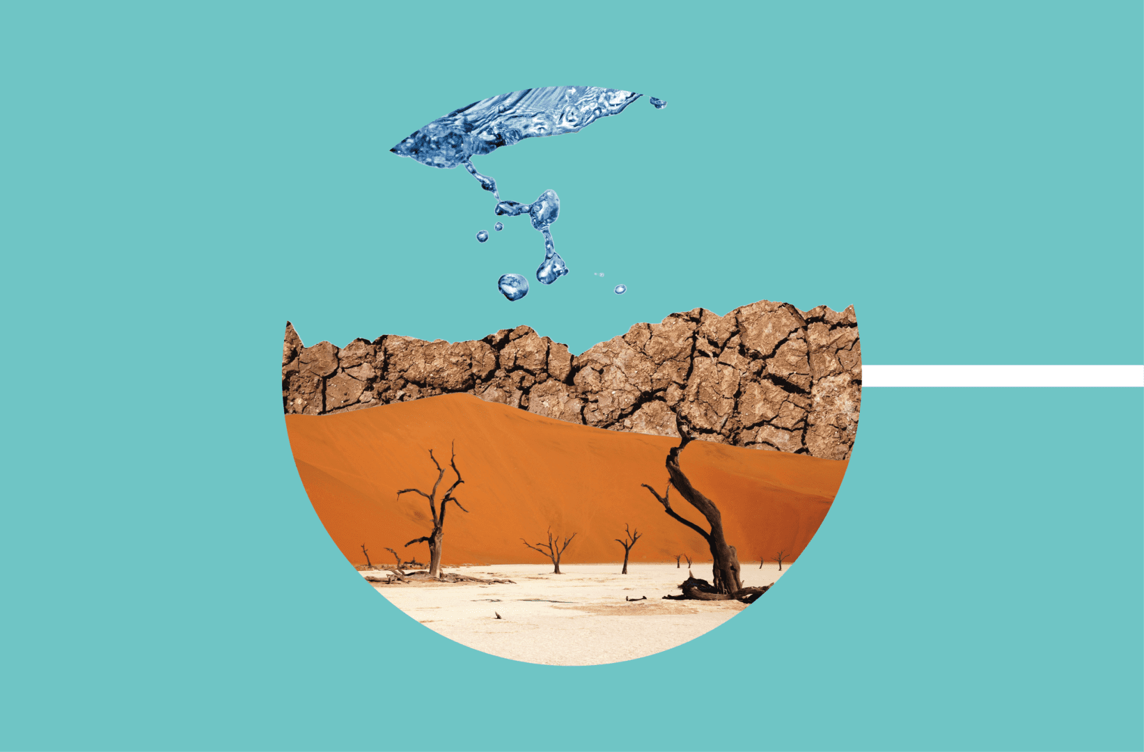 deficit idrico osservatorio anbi coldiretti produzioni siccità