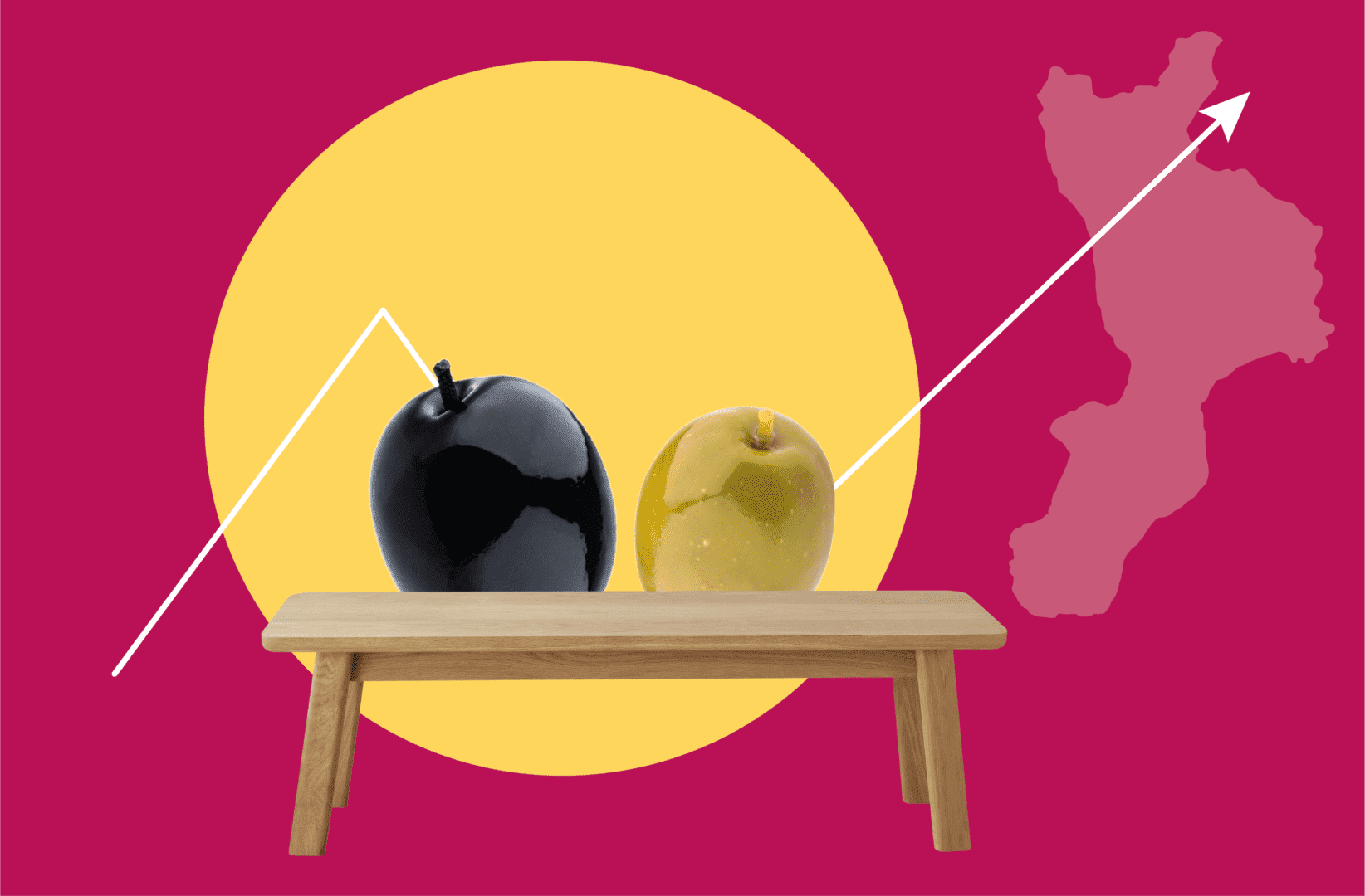 olivicoltura di qualità tavolo tecnico calabria olive