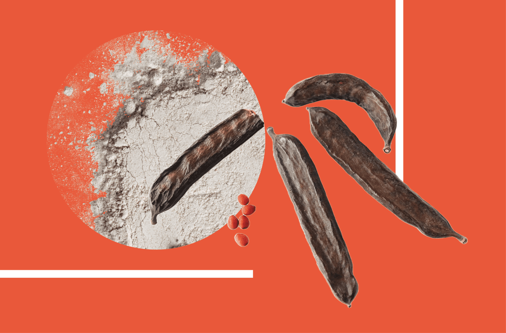 carrubo farina semi produzione italia sicilia