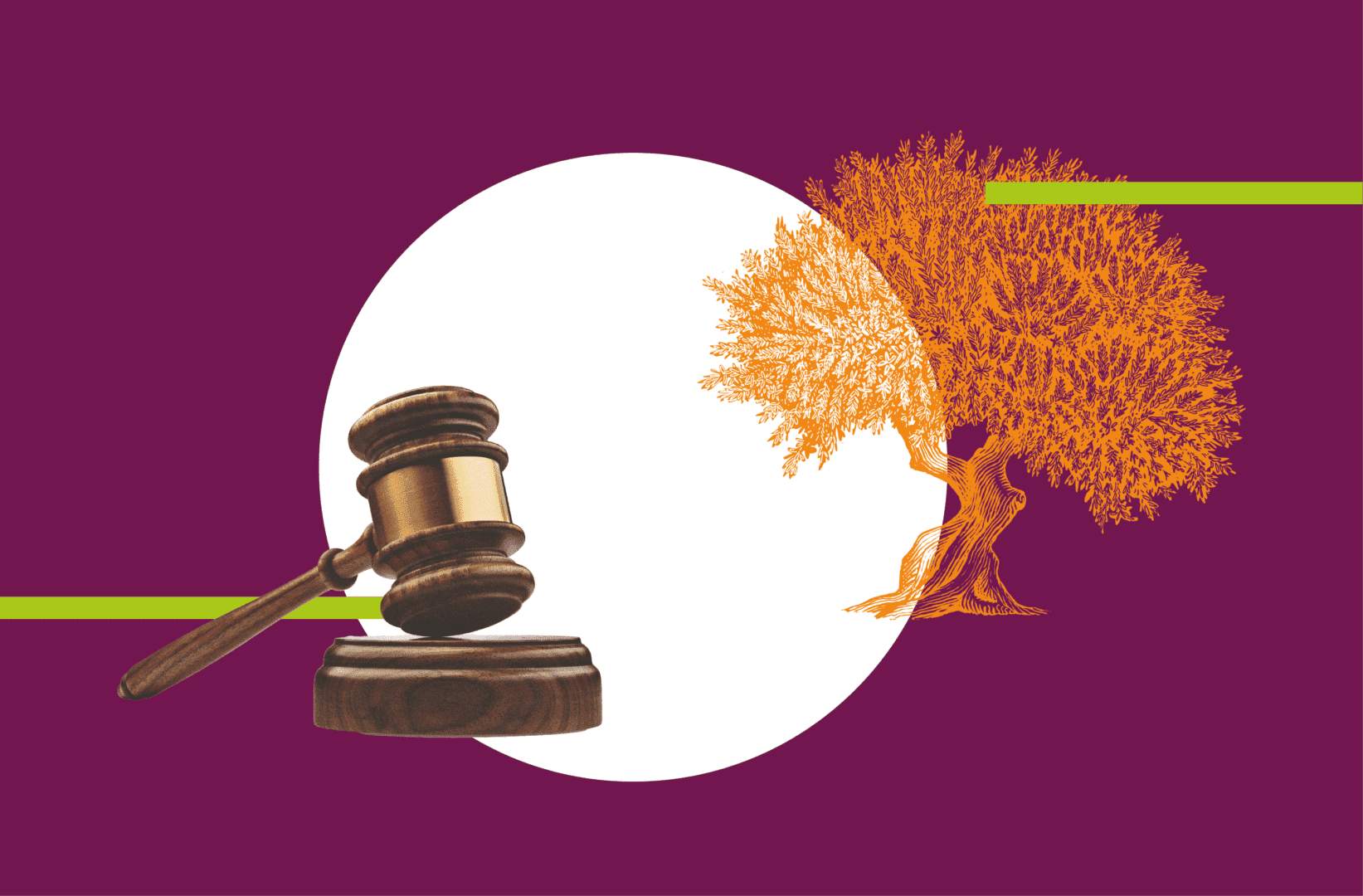 tar eradicazione ulivi infetti ostuni tar puglia stop