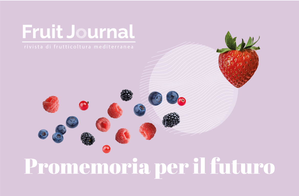 terzo numero fruit journal fragole berries online
