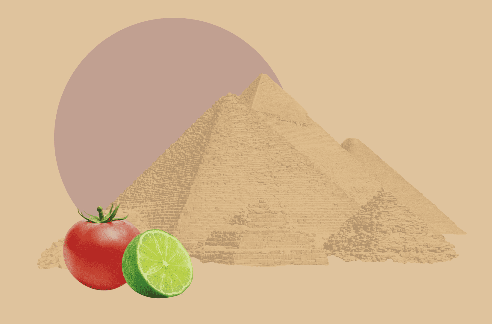 egitto esportazioni prodotti agricoli aumento