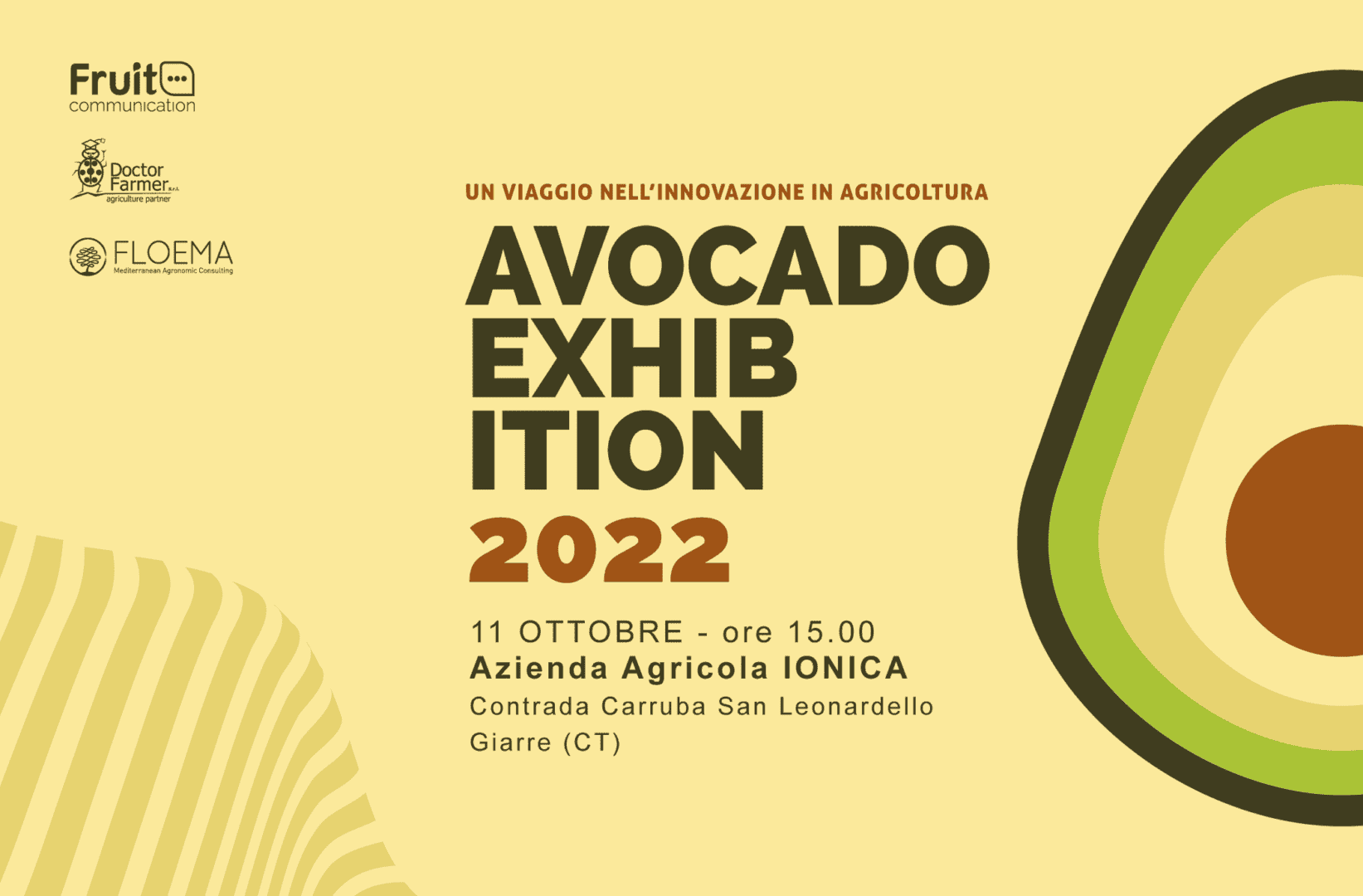 Avocado-Exhibition-11-ottobre-2022-15-sicilia-frutta-tropicale