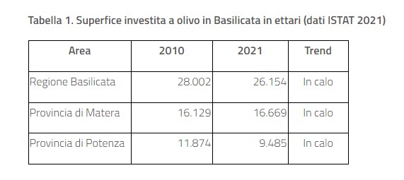 alsia-basilicata-bilanci-fitosanitari-olivo