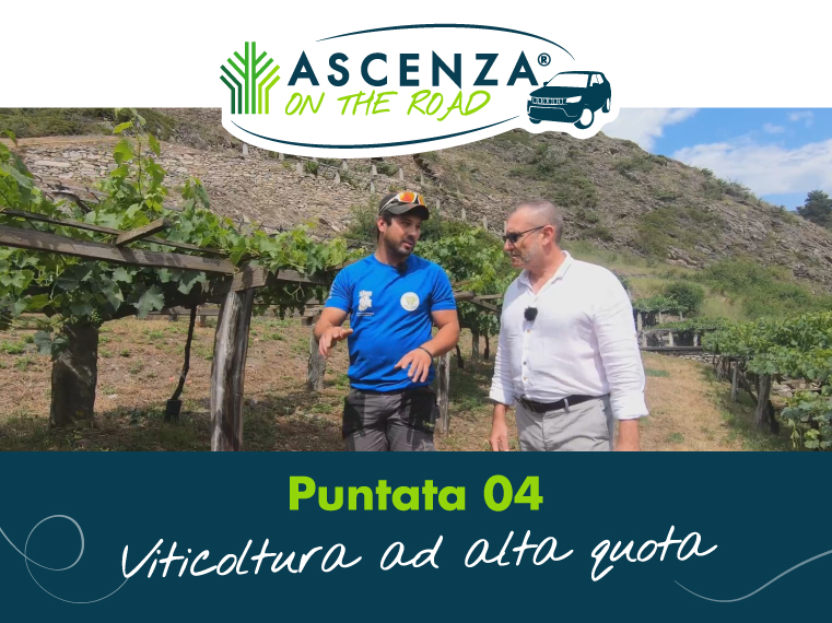 viticoltura-ad-alta-quota-ascenza-on-the-road-uva-prevam-plus-valesco