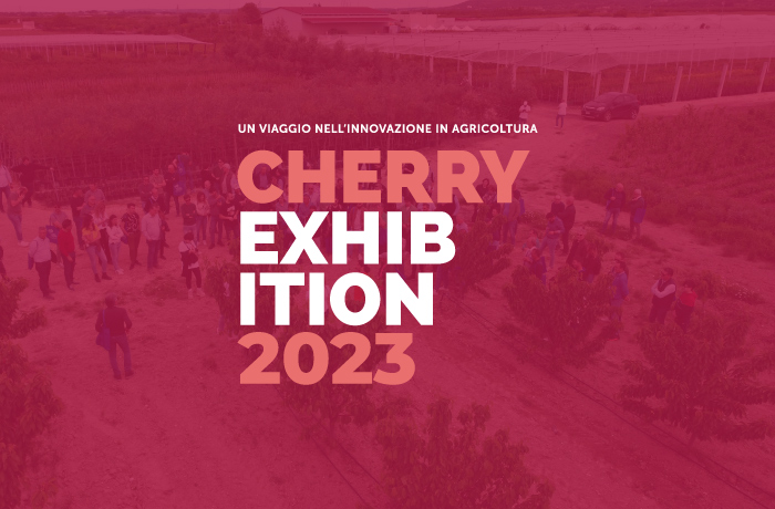 Cherry-Exhibition-puglia-ciliegia
