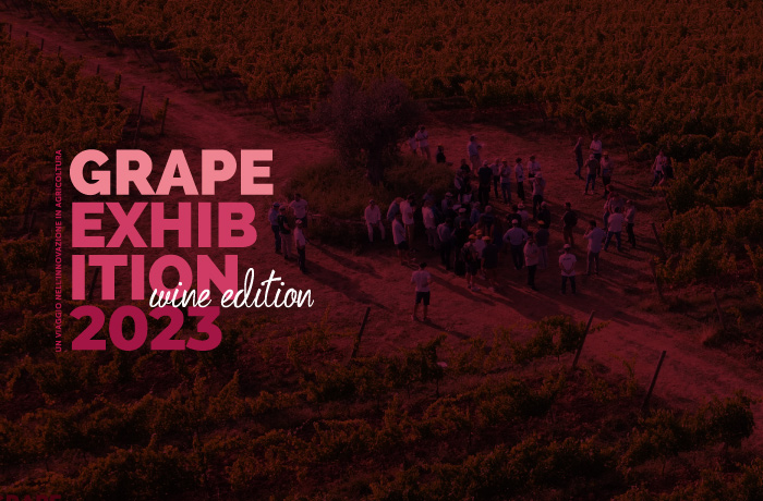 grape exhibition wine edition