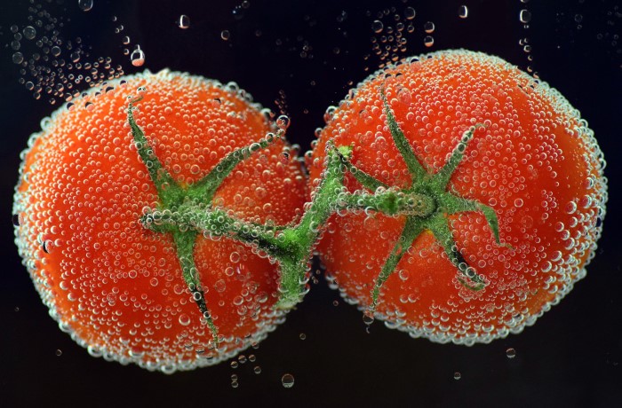 pomodoro-batteri-rizosfera