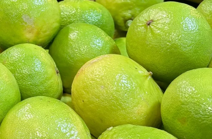 bergamotto - reggio calabria