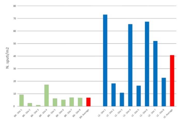 Xylella fastidiosa 1