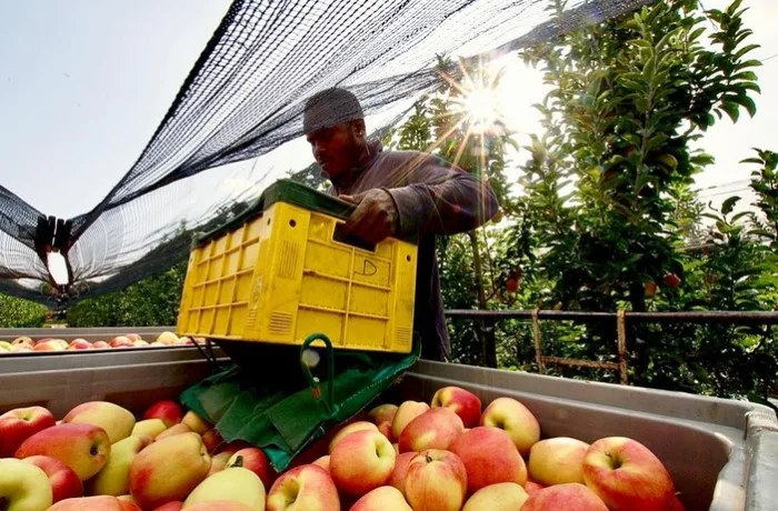 export crisi mar rosso ortofrutta
