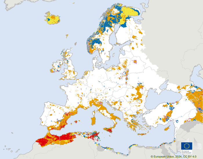 emergenza idrica