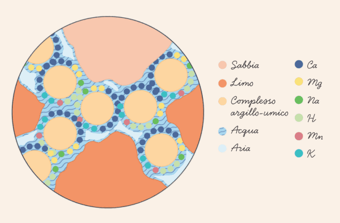 speciale biostimolanti conference 2024