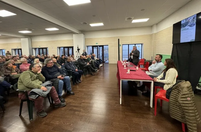 xylella fastidiosa boscia puglia