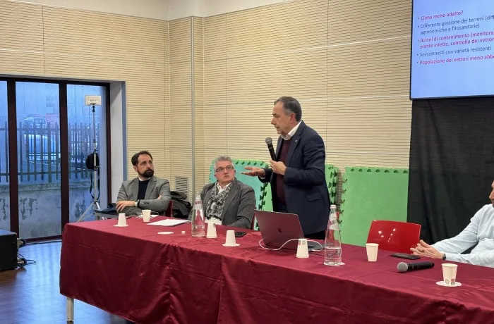 xylella fastidiosa boscia puglia