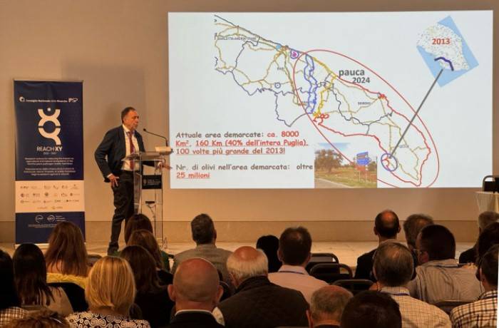 Xylella fastidiosa 3