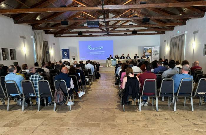 Xylella fastidiosa 4