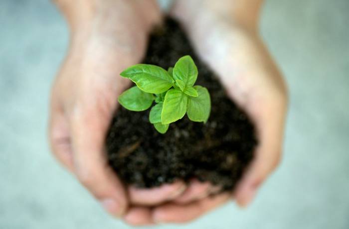 sostenibilità ambientale