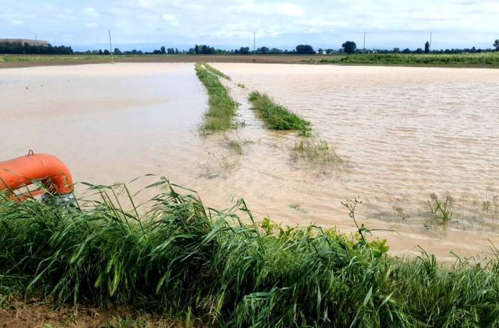maltempo al nord allagata nella Bassa-3