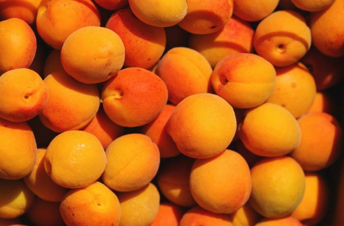 albicocche