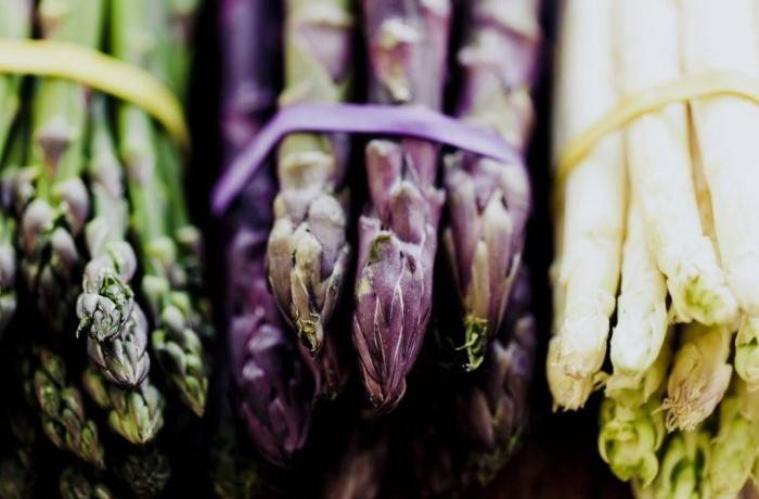 varietà di asparagi 1