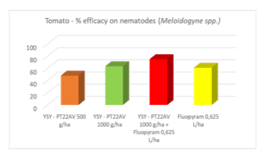 pomodoro biocontrollo 2