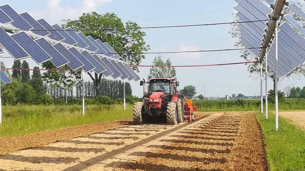 agrivoltaico