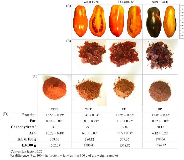 scarti del pomodoro 2