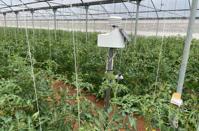 pomodoro a residuo zero 