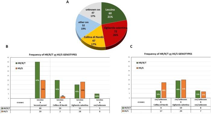 xylella fastidiosa resistenza