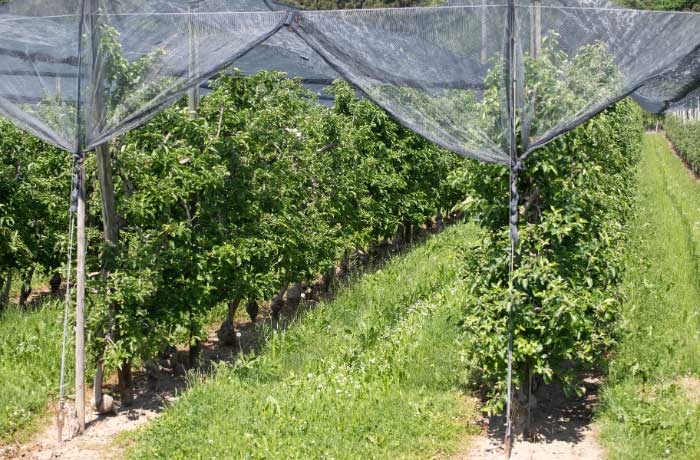 sistemi di copertura