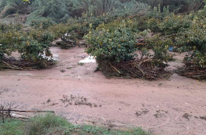 tempesta dana valencia