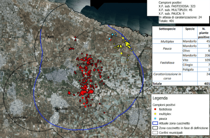 Xylella in puglia - mappa