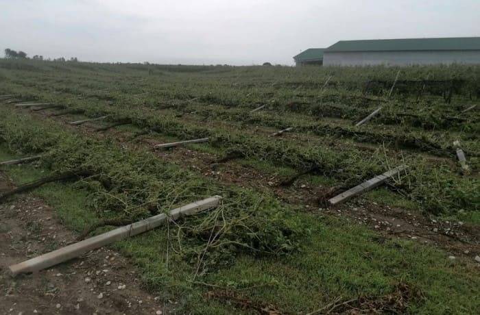 asssicurazioni agricole maltempo (1)