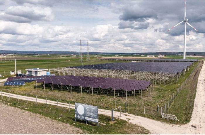 impianti agrivoltaici su vite in puglia