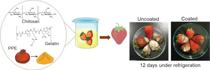 conservazione delle fragole - grafico
